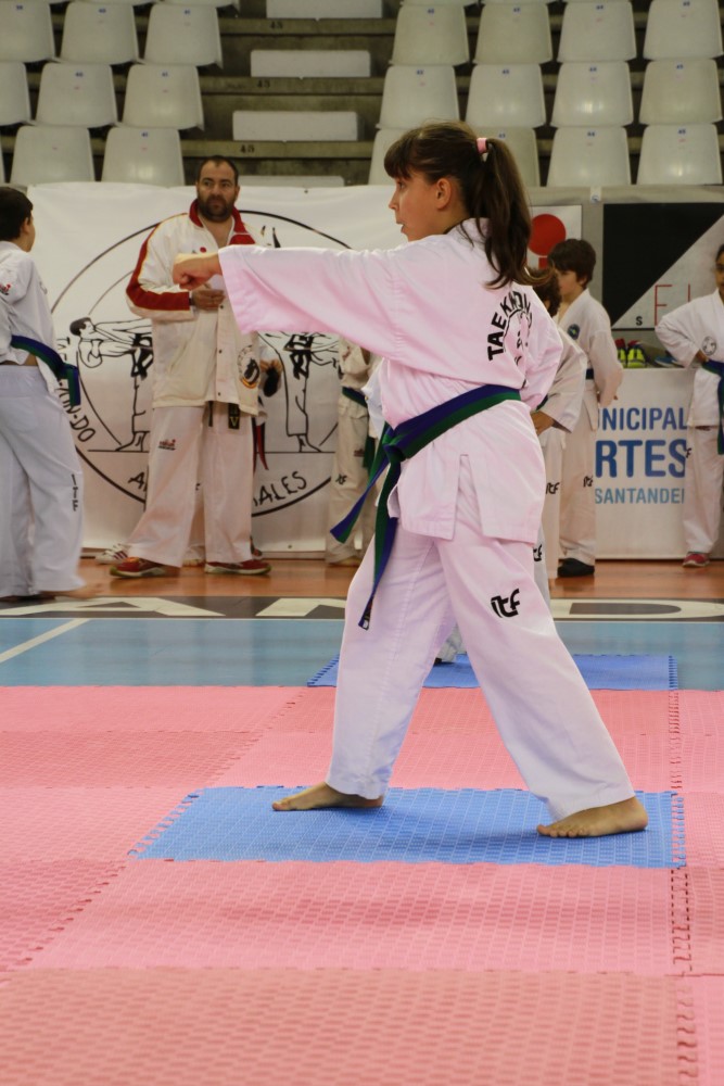 Taekwondo Dic 2016 (124).jpg